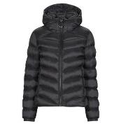 Doudounes Superdry HOODED FUJI PADDED JACKET