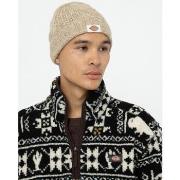 Bonnet Dickies Hoxie beanie