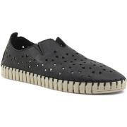Chaussures Frau Cachemire Sneaker Slip On Traforato Donna Black 52M069