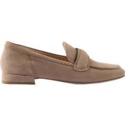 Mocassins Högl perry loafers taupe