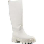 Bottes Renato Garini s92502 bottes Femme blanc