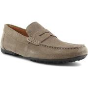 Chaussures Geox Kosmopolis Mocassino Uomo Taupe U35CFB00020C6029