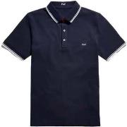 Polo Fay -