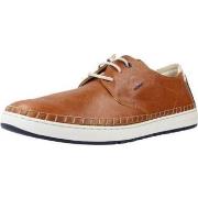 Derbies Fluchos F1715