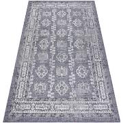 Tapis Rugsx Tapis SIZAL SION Cadre, ornement, vintage 2832 80x150 cm