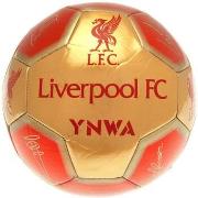 Accessoire sport Liverpool Fc YNWA