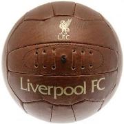 Accessoire sport Liverpool Fc TA6316