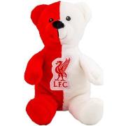 Accessoire sport Liverpool Fc TA11614