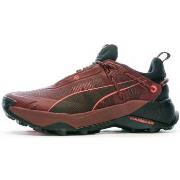 Chaussures Puma 377855-08