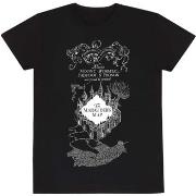 T-shirt Harry Potter HE1527