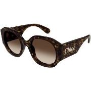 Lunettes de soleil Chloe CH0234S Lunettes de soleil, Havana/Marron, 53...