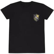 T-shirt Harry Potter Quidditch