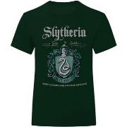 T-shirt Harry Potter HE1880