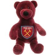 Accessoire sport West Ham United Fc TA11510