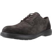 Derbies Geox U OTTAVIO