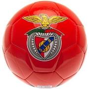 Accessoire sport Sl Benfica TA8236