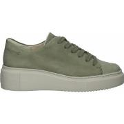 Baskets basses Paul Green Sneaker