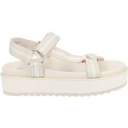 Sandales Steve Madden Sandales