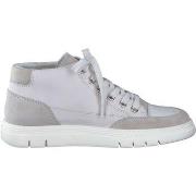 Baskets montantes Paul Green Sneaker