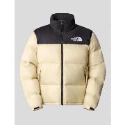 Blouson The North Face -