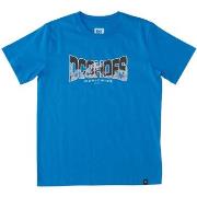 T-shirt DC Shoes Astro