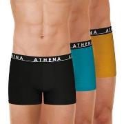 Boxers Athena Lot de 3 boxers homme Easy Color