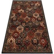 Tapis Rugsx Tapis en laine KASHQAI 4373 500 oriental, 200x300 cm