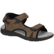 Chaussures Geox -