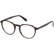 Lunettes de soleil Moncler ML5144 Montature da vista, Havana, 50 mm