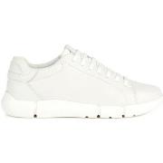 Baskets Geox U Adacter sneaker in pelle