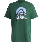 T-shirt adidas T-shirt Uomo ic2360adv_mountain_tee_verde