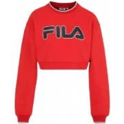 Sweat-shirt Fila 776zmf3mdgxny