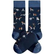 Chaussettes Jimmy Lion -