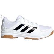 Chaussures adidas -