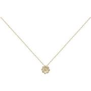 Collier Phebus Collier Femme