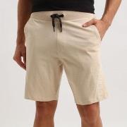 Short Cerruti 1881 Seddori