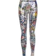 Collants Dsquared Leggins