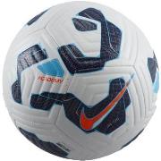 Ballons de sport Nike Nk academy - fa24