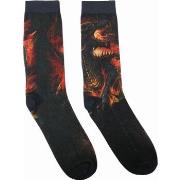 Chaussettes Spiral Draconis