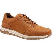 Baskets basses Hush puppies Joseph