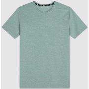 T-shirt Teddy Smith Tee-shirt NARK Stone Green Chine