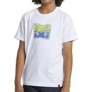 T-shirt DC Shoes DC Star Inline