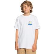 Chemise enfant Quiksilver Porpoises