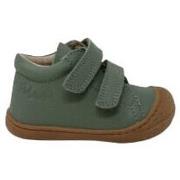 Baskets enfant Naturino CHAUSSURES 2012904