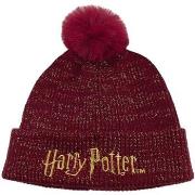 Chapeau Harry Potter HE2278