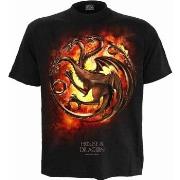 T-shirt Spiral Dragon Flames