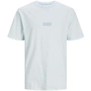 T-shirt Jack &amp; Jones 161479VTPE24