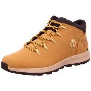 Chaussures Timberland -