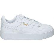 Chaussures Puma 393846-01