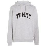 Sweat-shirt Tommy Hilfiger TOMMY JEANS - Sweat à capuche - gris